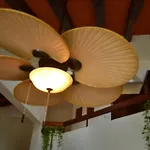 Cancun Vllla Orquidea Turquesa