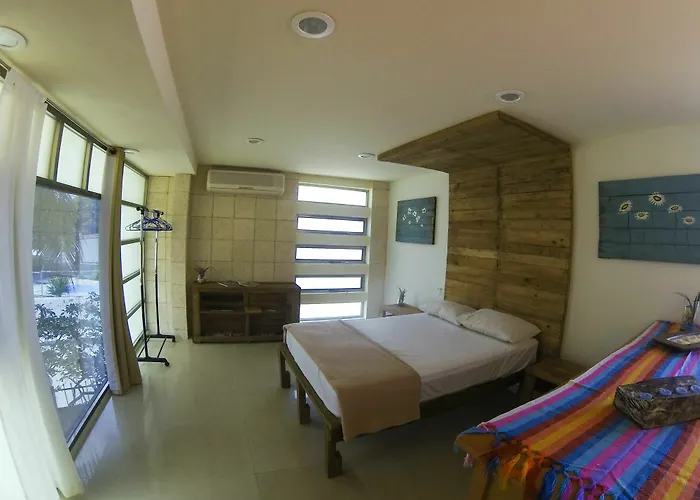 Casa Caracol - Hostel