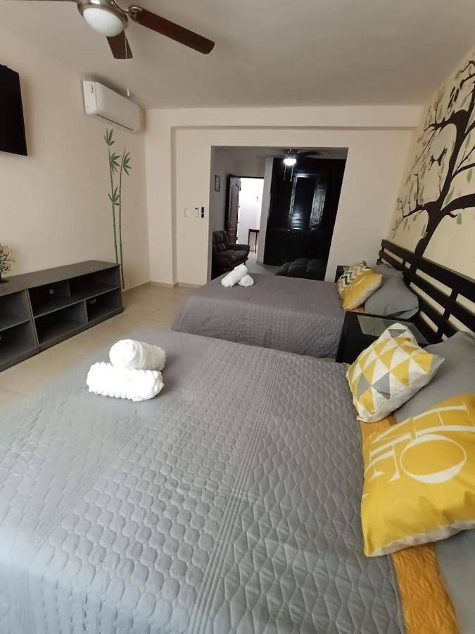 Nuevo! Casa Sofia Lujoso&súper Céntrico Apartamento