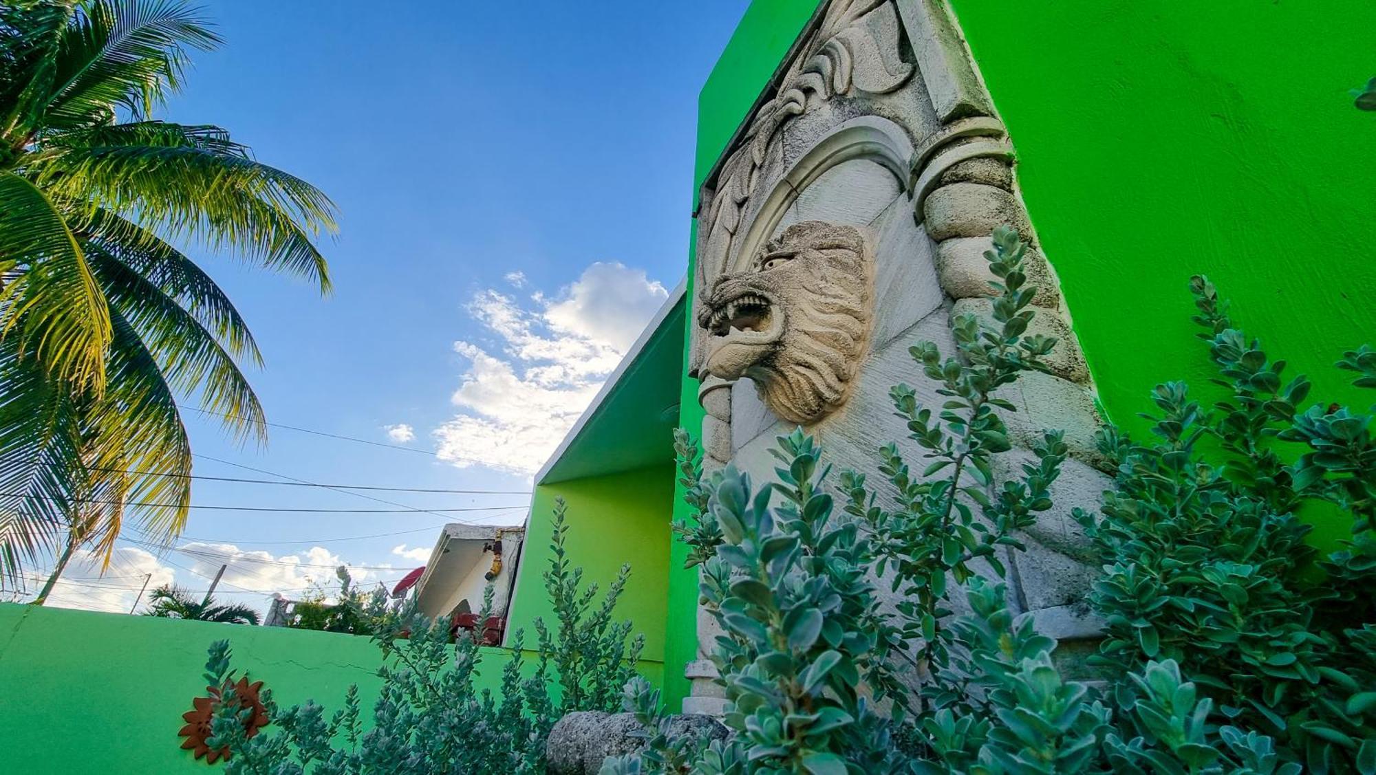 Leo Downtown