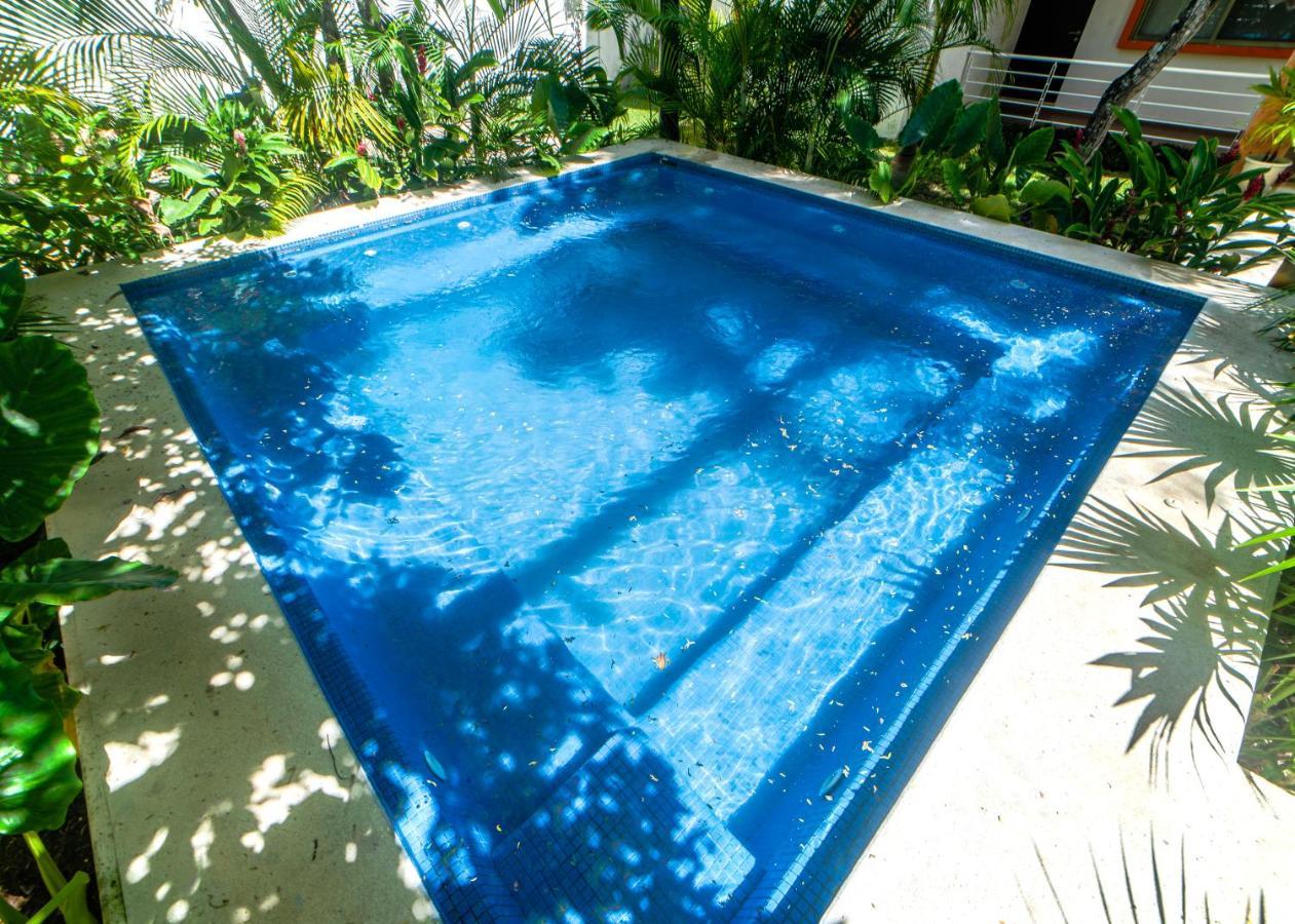 Airport With Pool And Security * Cancún