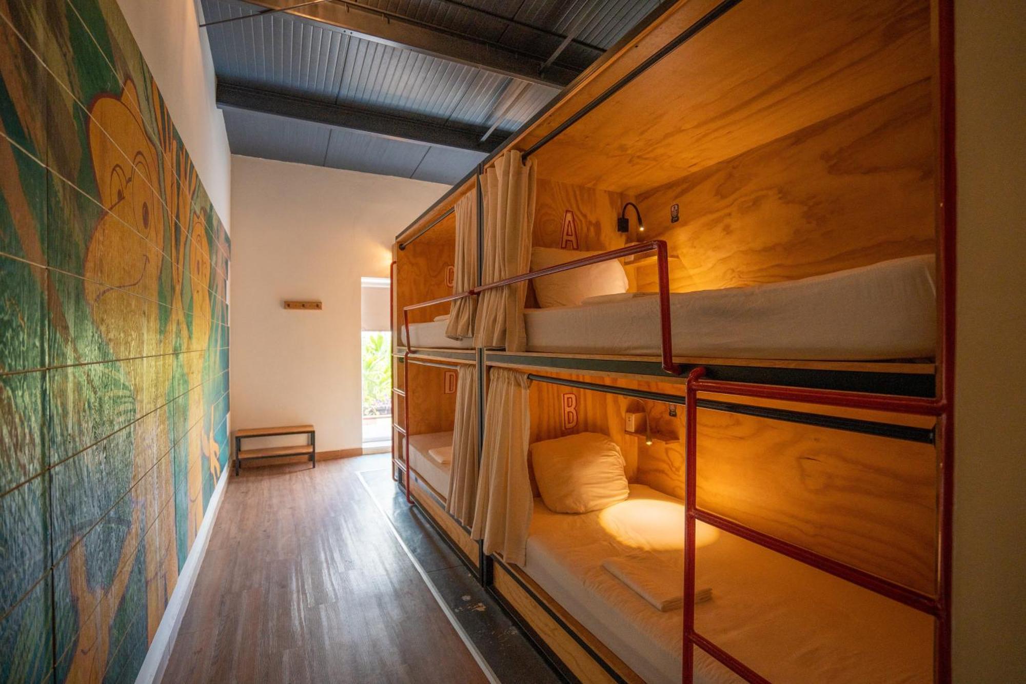Mayan Monkey - Social (adults Only) * Cancun