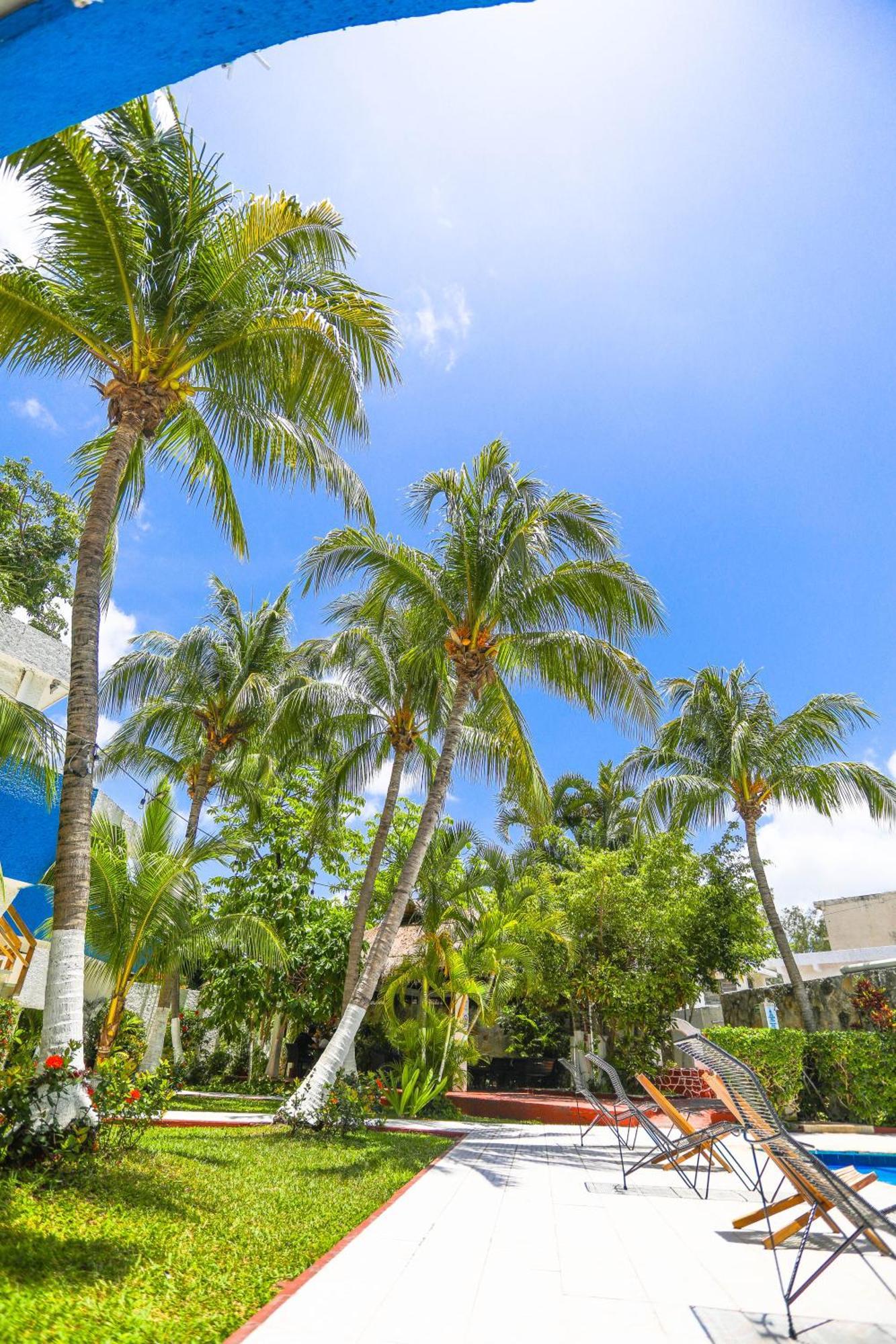 Hotel Caribe Internacional 3*