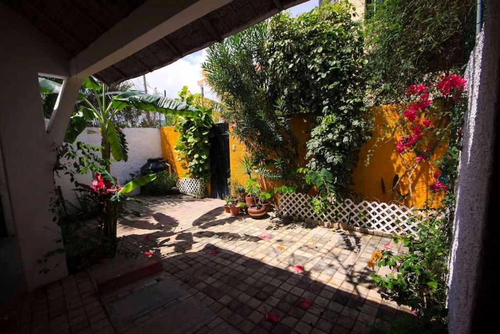 Holiday home Tropical House In Downtown *