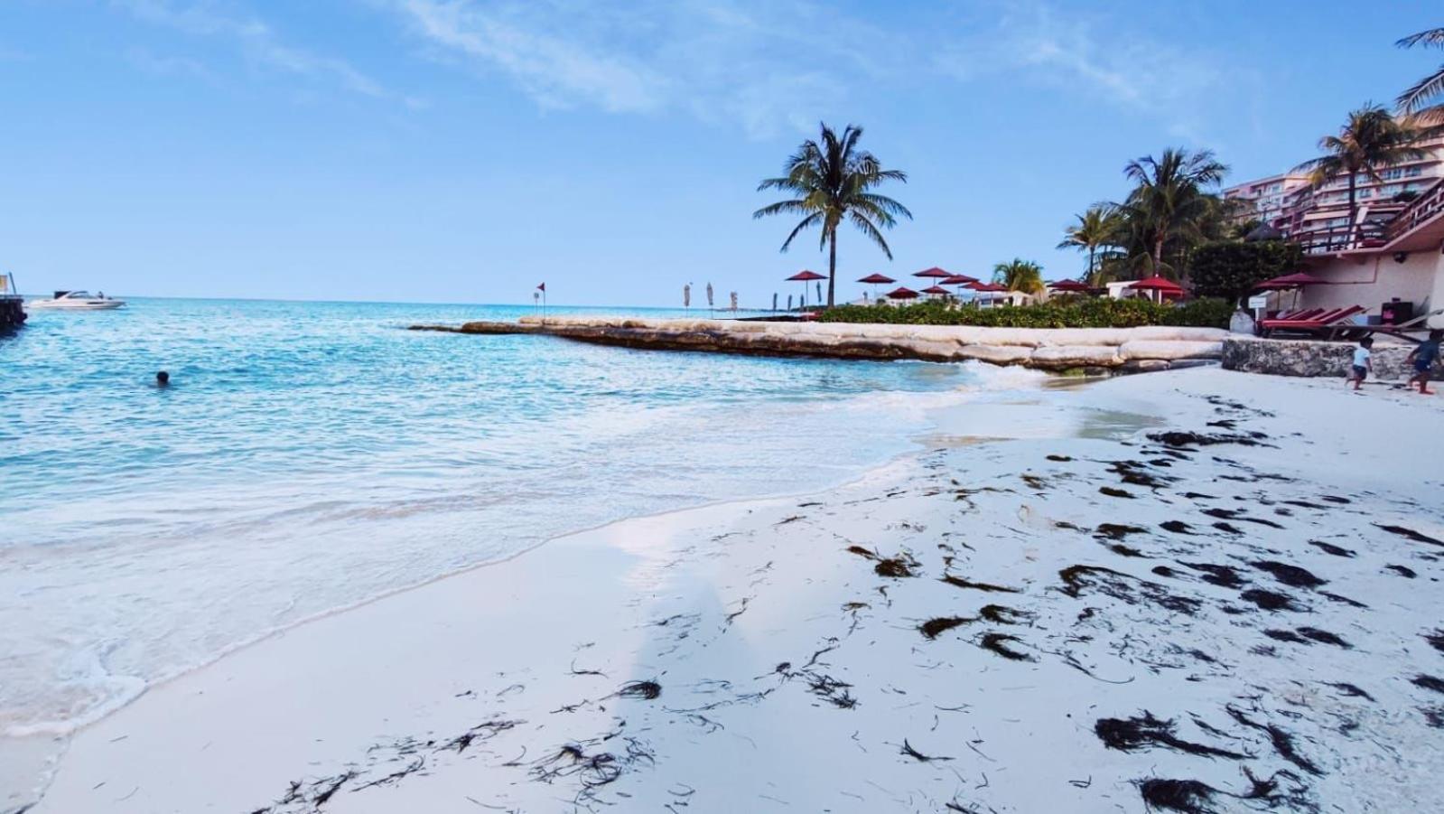 Apartamento La Casa De Noah Cancún