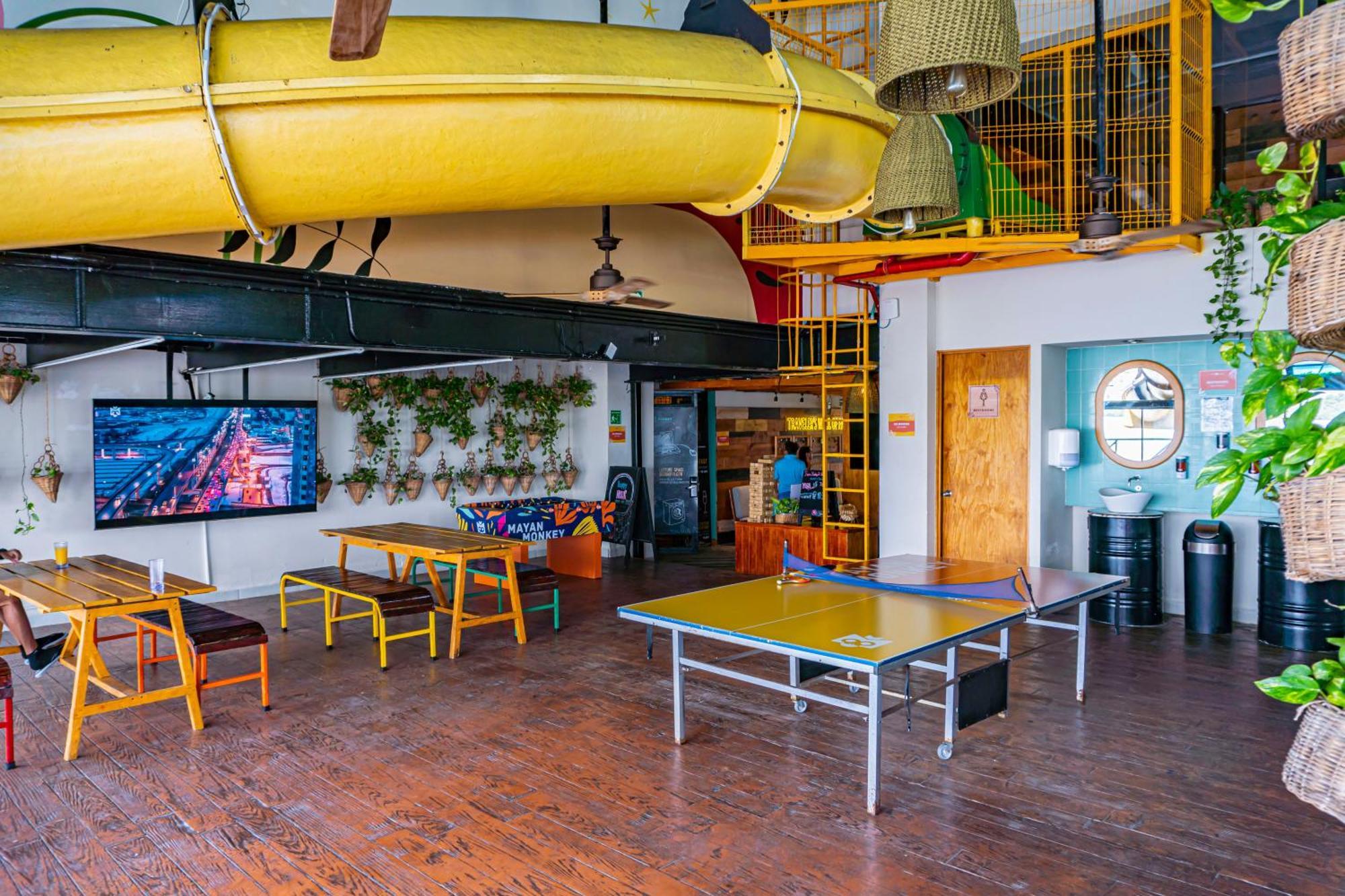Hostel Mayan Monkey - Social (adults Only) *