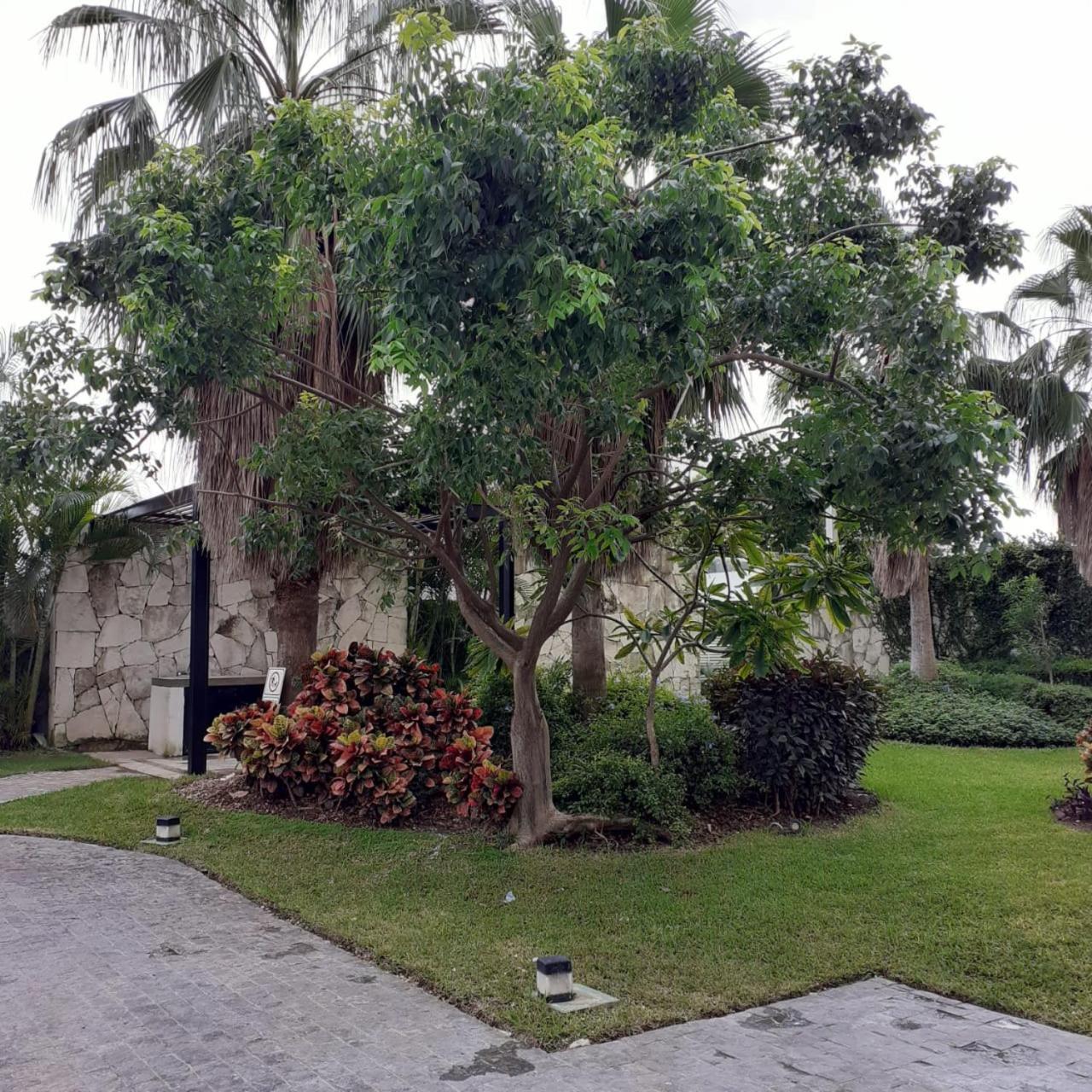 Travel * Cancún