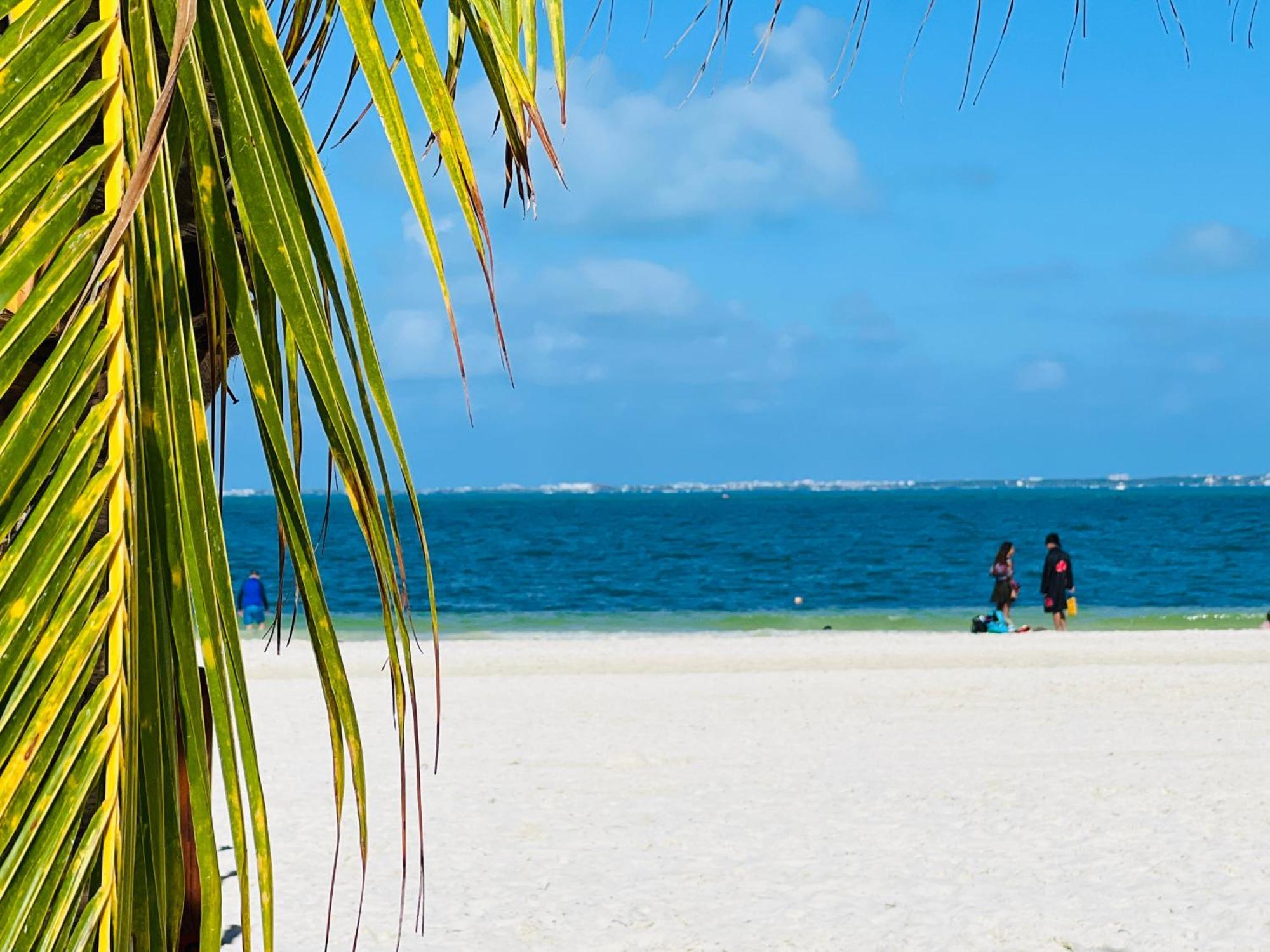 Oceanfront Paradise In Zone Apartamento