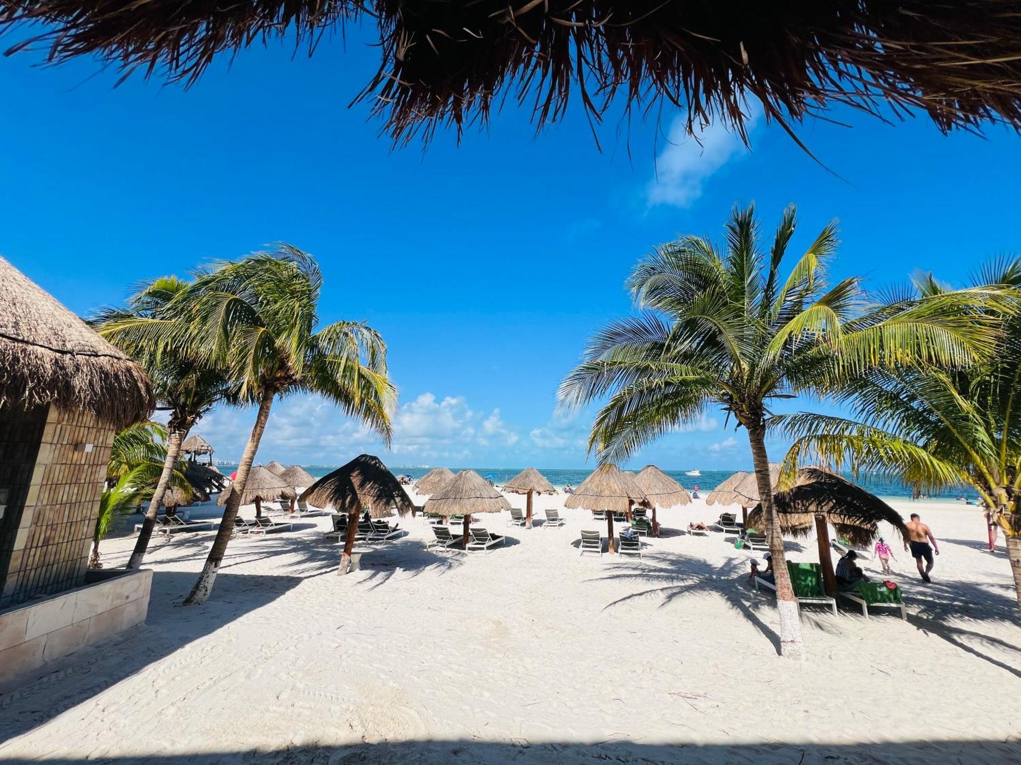 Oceanfront Paradise In Zone *