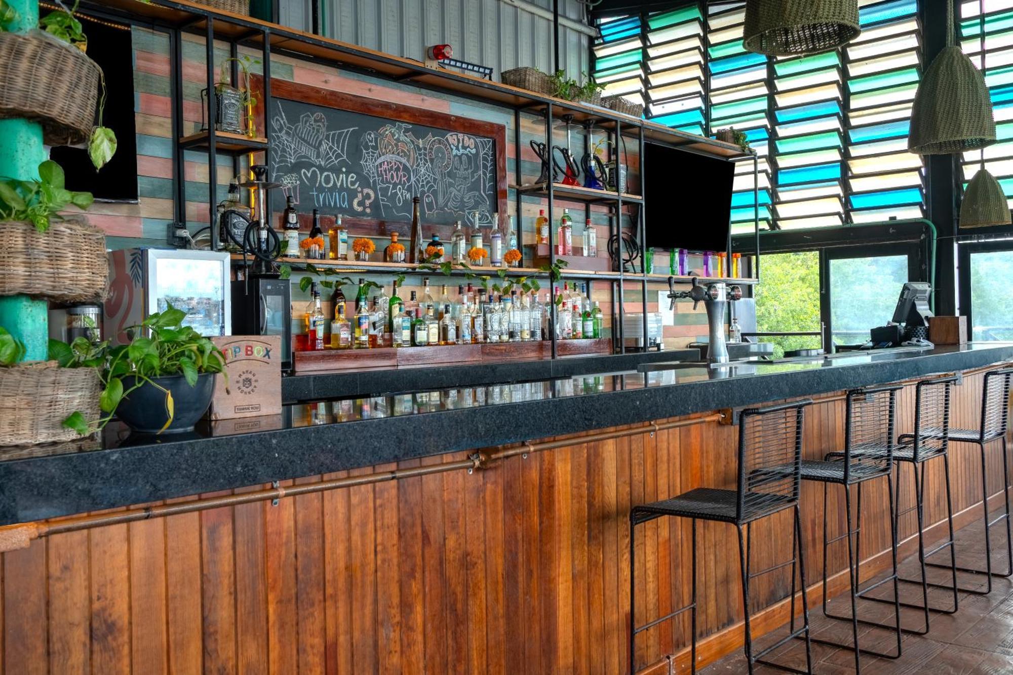 Mayan Monkey - Social (adults Only) Cancun