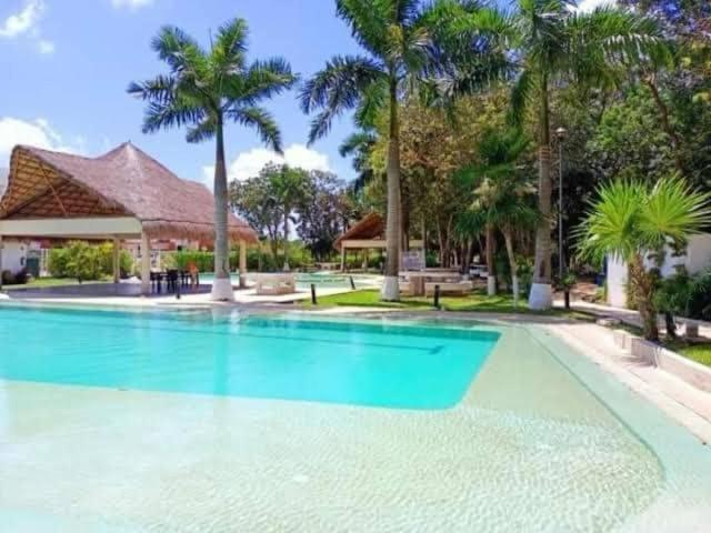 Modern, Downtown Apartment, 2br, 2bth, With Pool