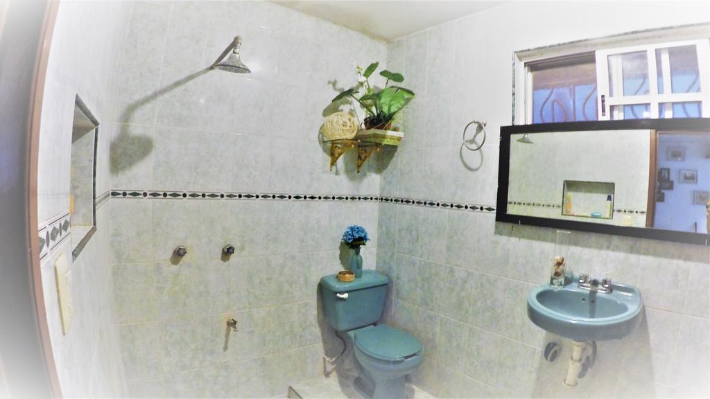 Pensión La Casa Del Arbol Cancún