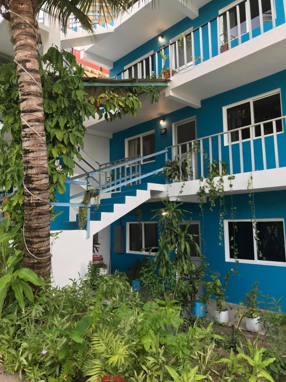 Blue Coconut Cancún