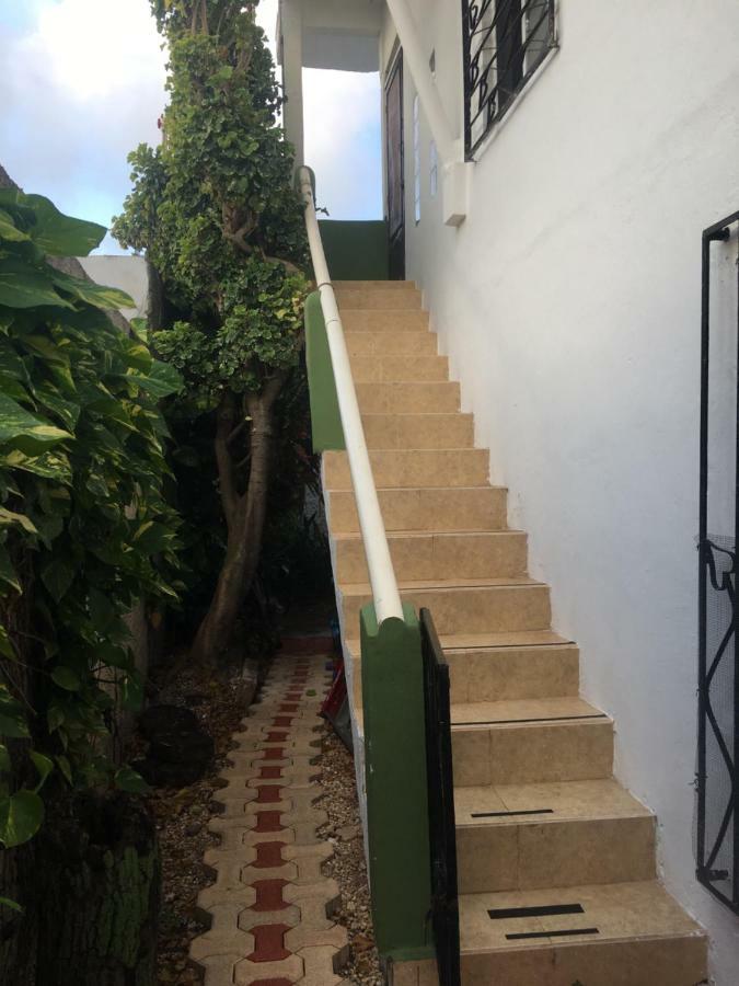 Apartamento Violeta's House *