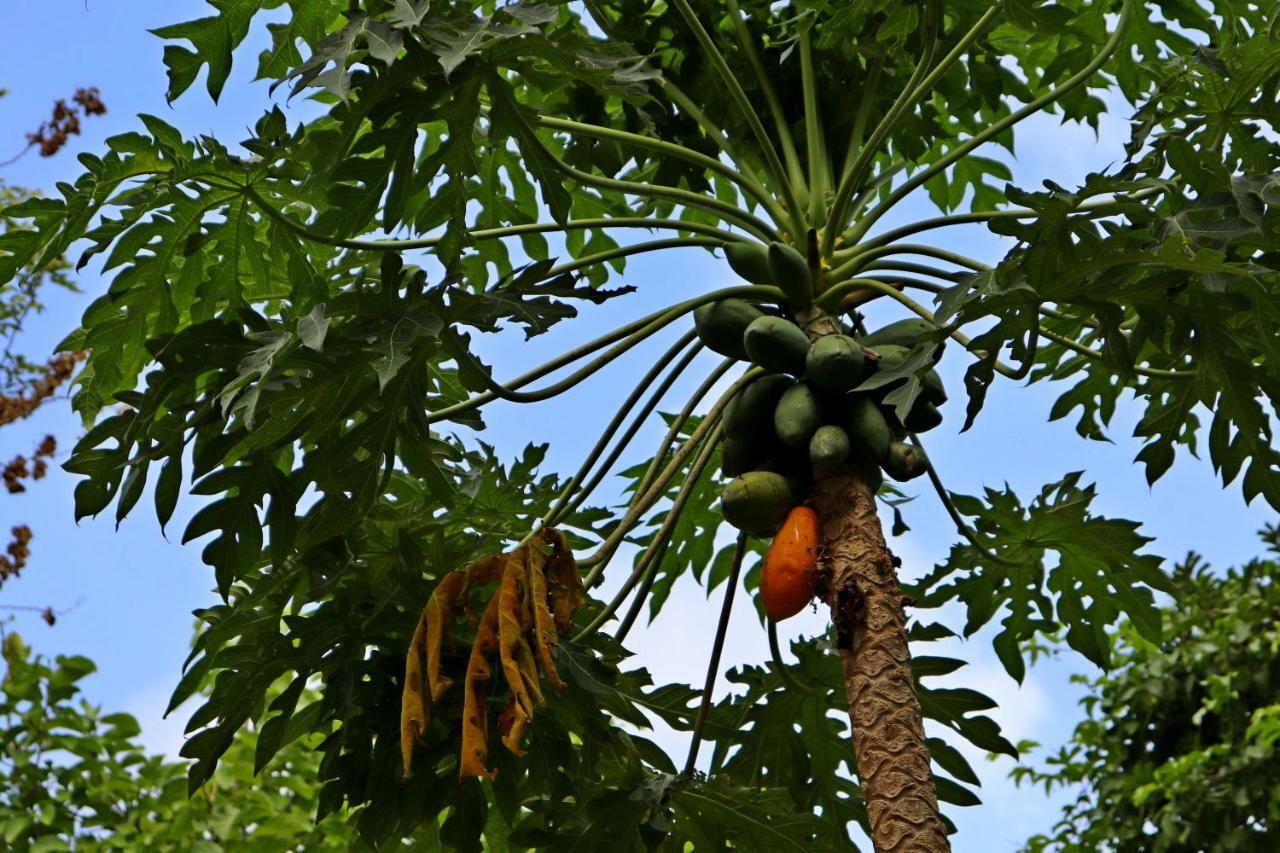 Сasa de vacaciones Casa Del Bosque Cancún