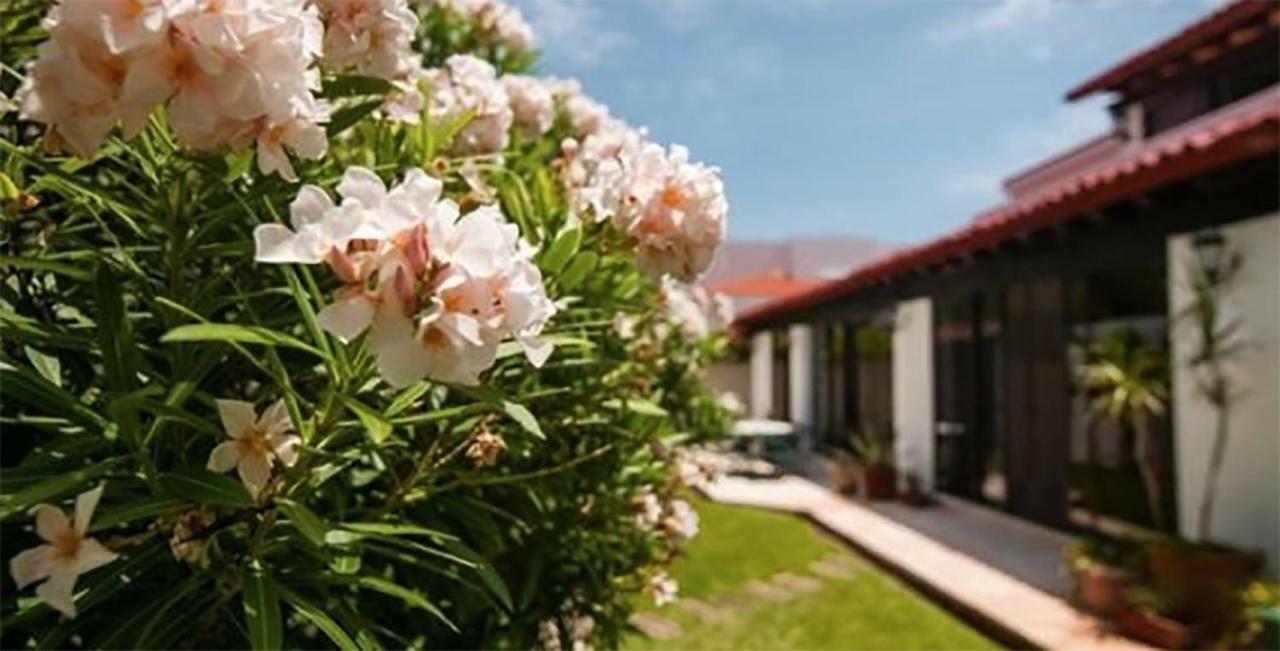 Luxury Stella Maris By The Sea