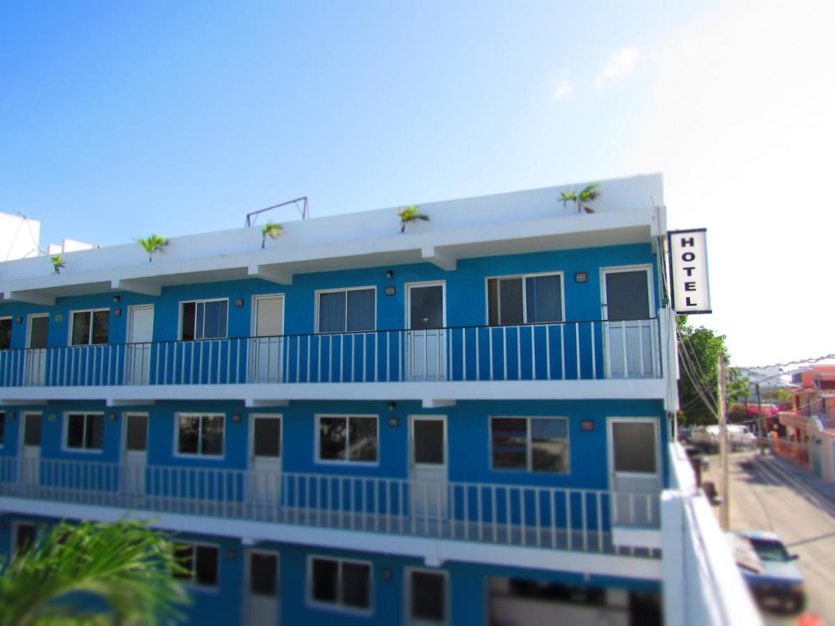 Blue Coconut 2*