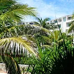 Eltonblom1970 At Out Look Com Beach House Blom