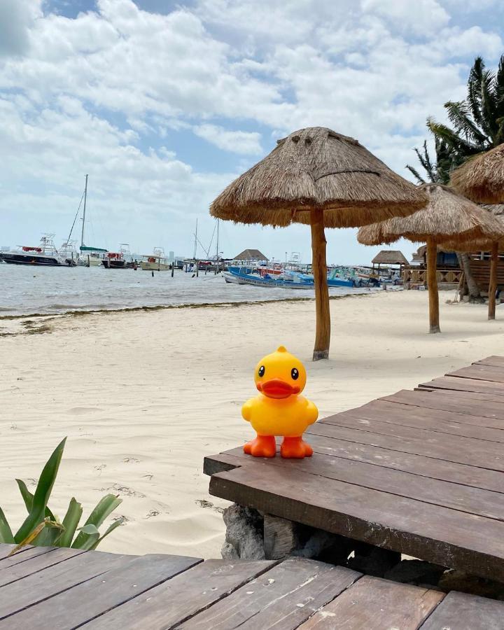Lucky Duck Pj Hotel Cancún