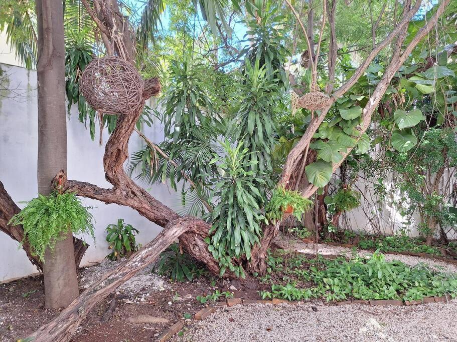 Estudio * Cancún