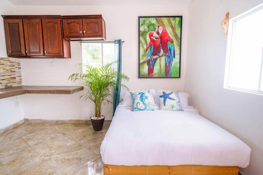 Medusa Private Pool - 4 Bedroom Prime Villa