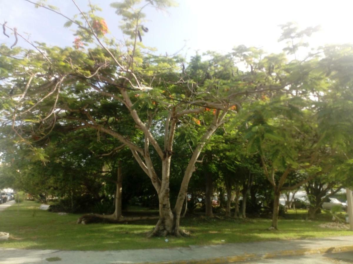 Bed and breakfast Cielito Lindo *