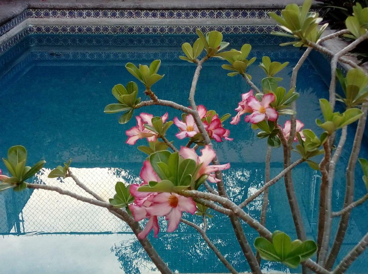 Cielito Lindo Bed and breakfast