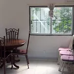 Balagan Departamento Frida