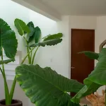 Recamara 4 Miniloft