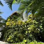 Casa Nona