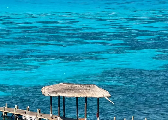 Cancún departamento frente al mar Amara