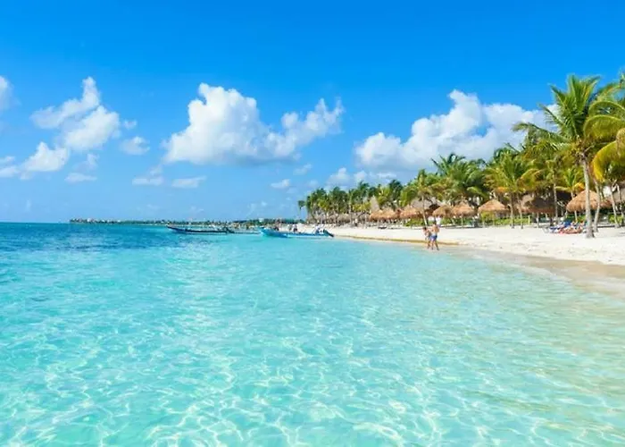 Depas Flamboyan Centro de Cancún D2