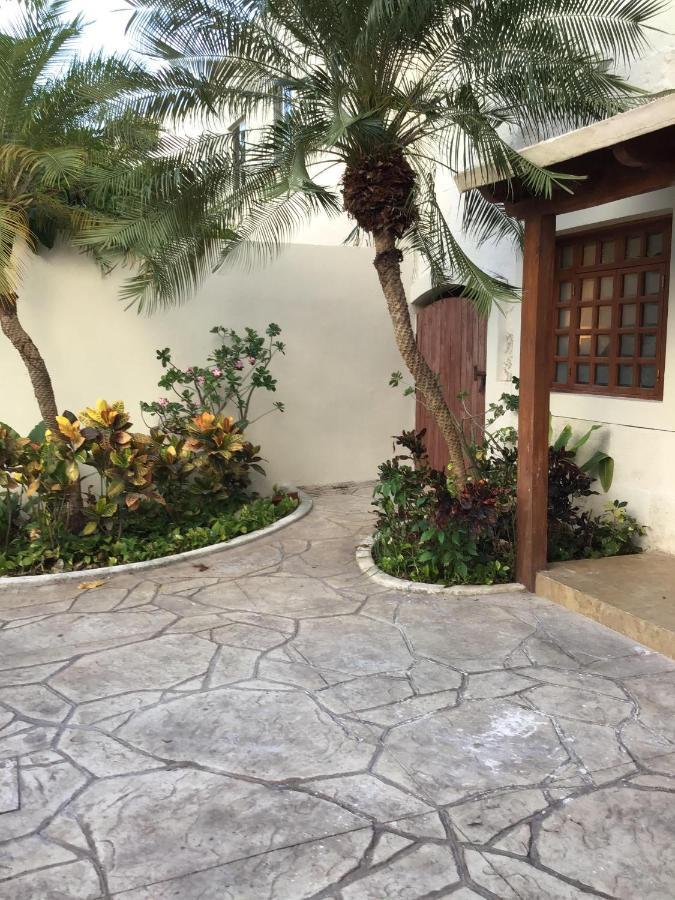 Pecarí Bed and breakfast Cancún