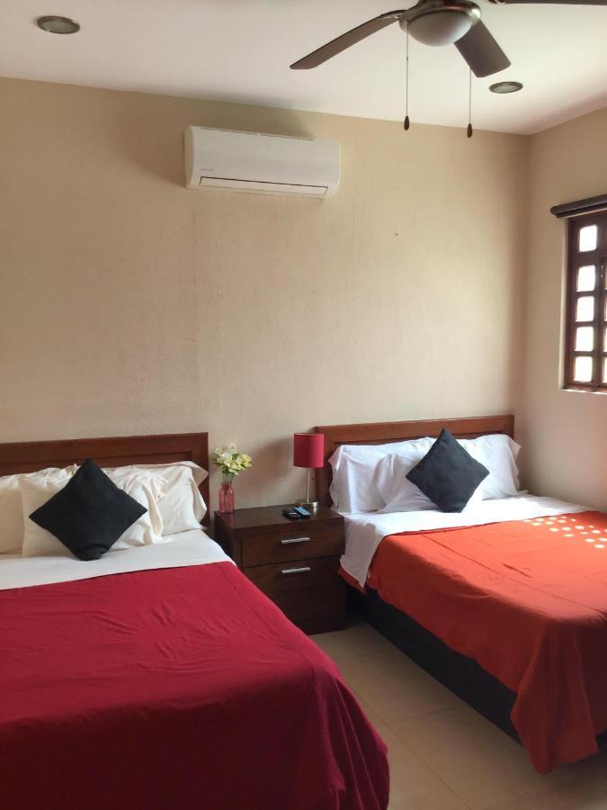 Pecarí 3* Cancún