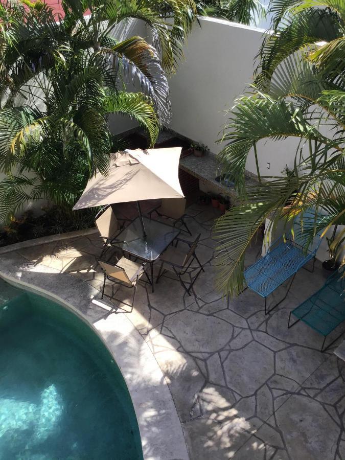 Pecarí Cancún