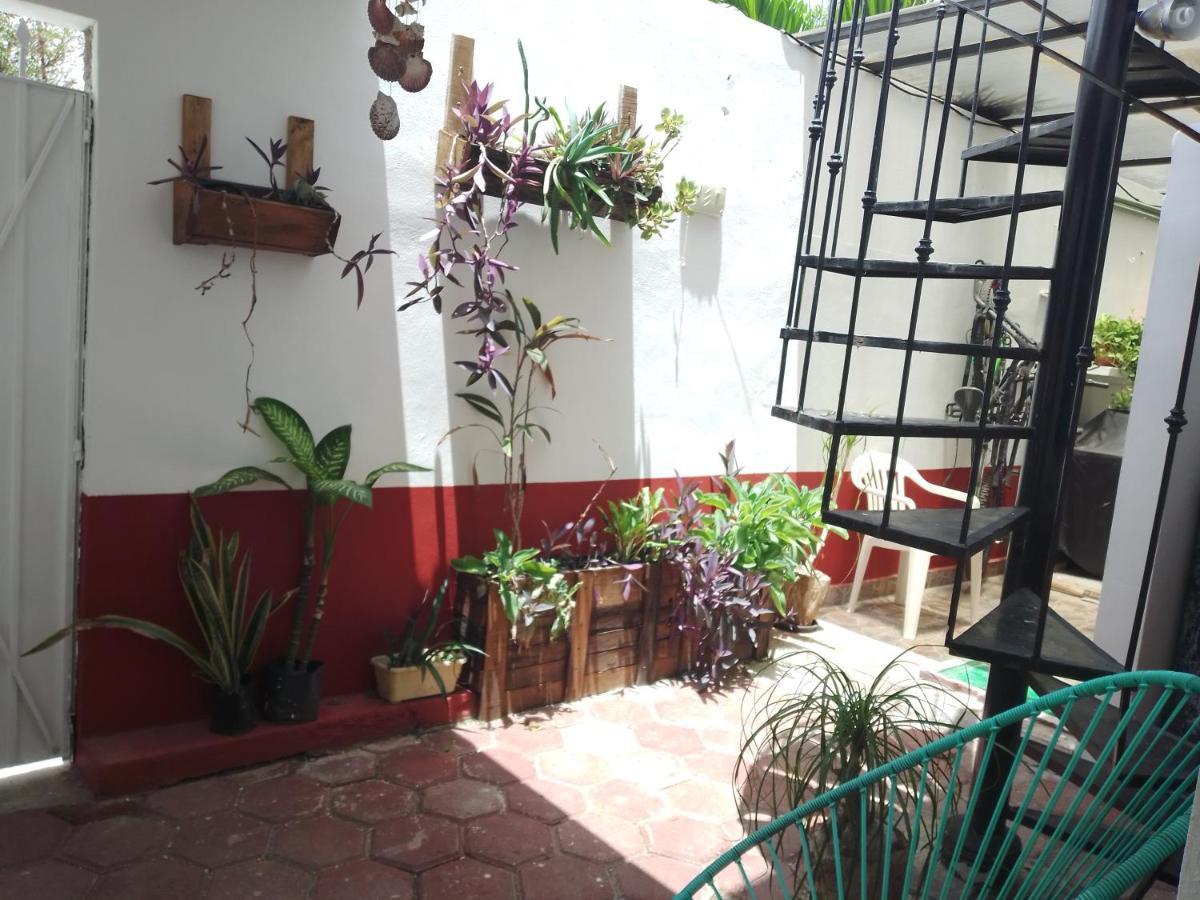 Apartamento El Depa De Doña Lucha
