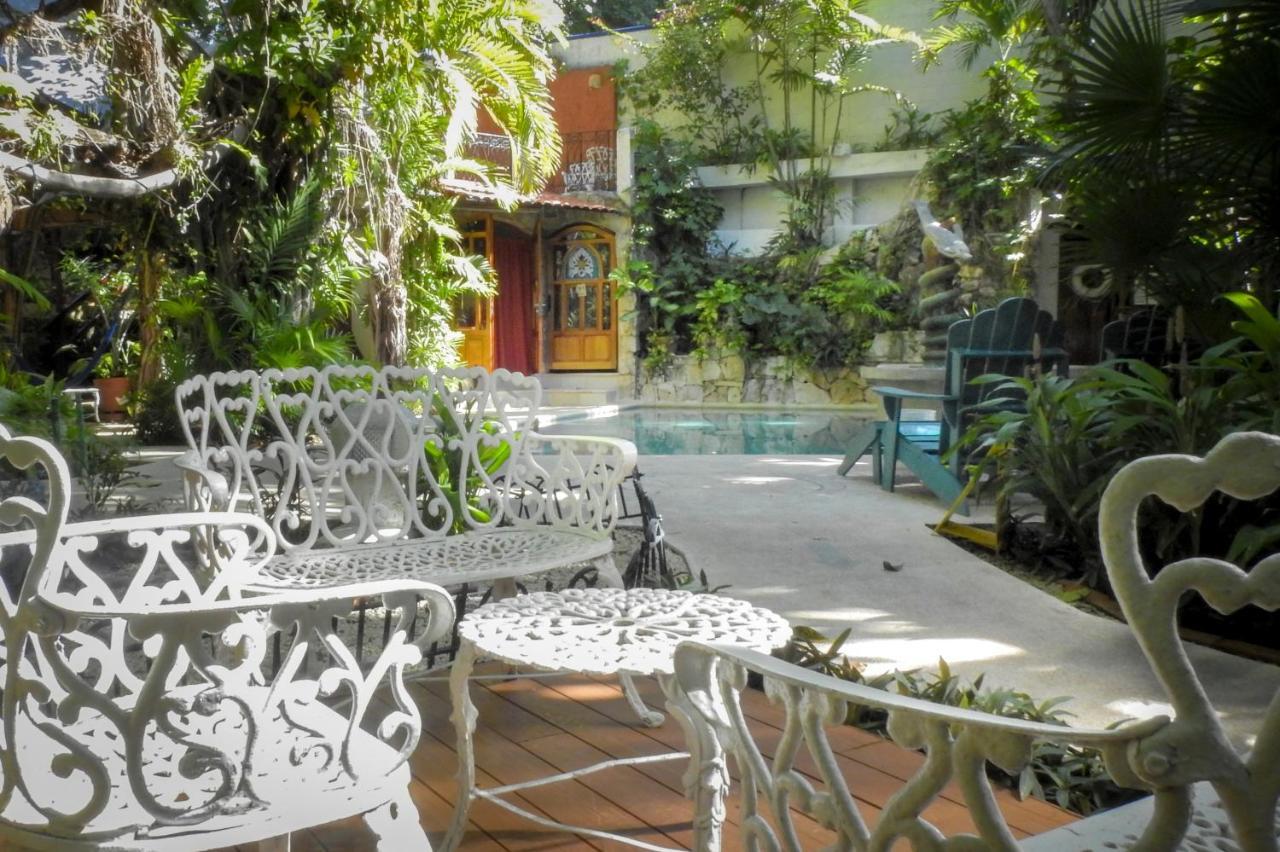 Eco-hotel El Rey Del Caribe Hotel