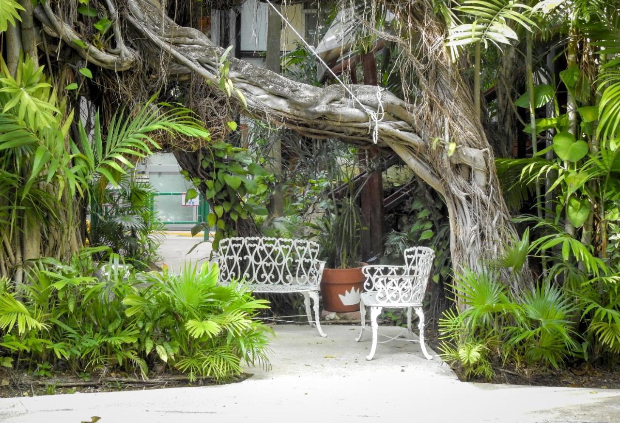 Eco-hotel El Rey Del Caribe 3*