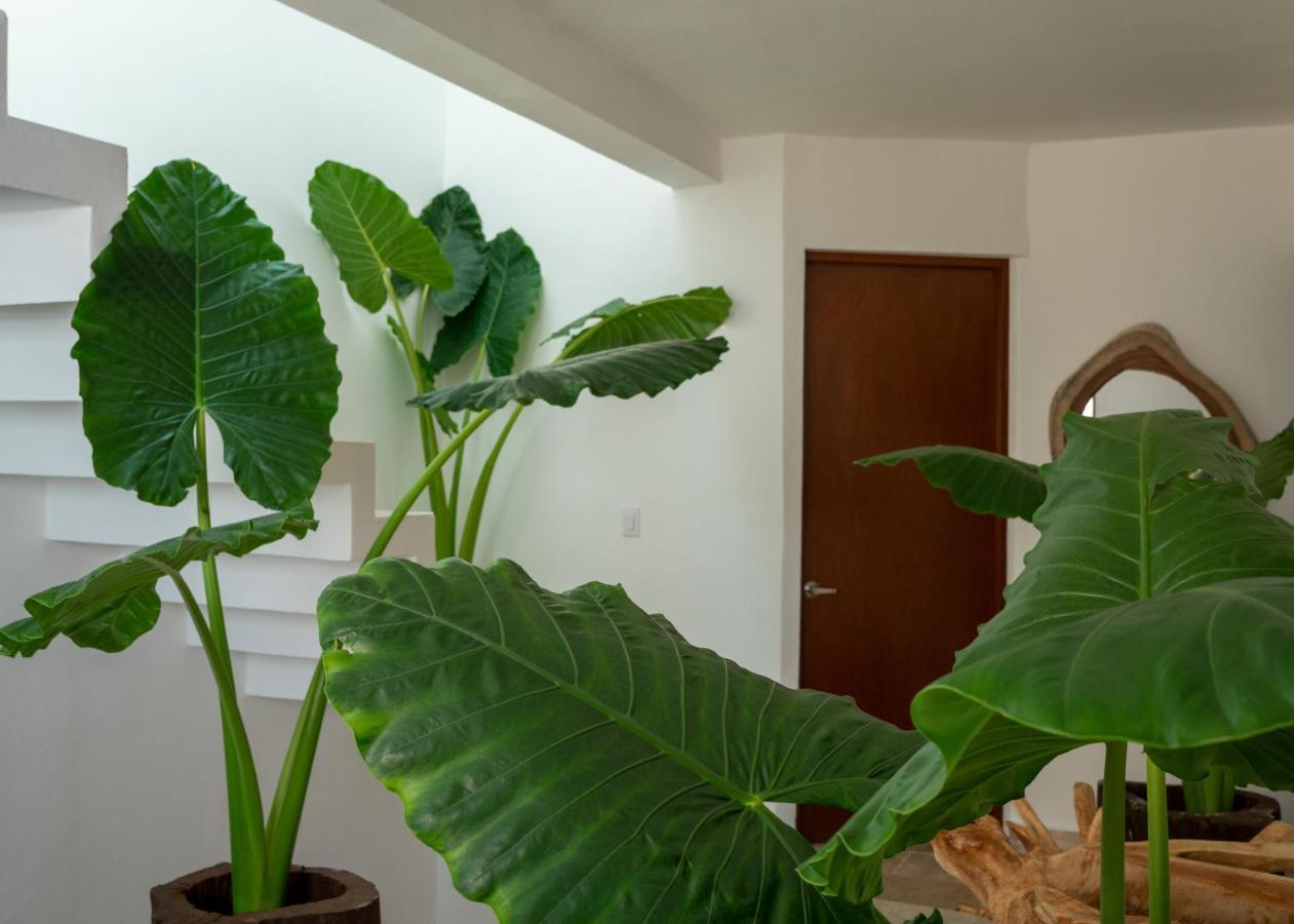 Habitación en casa particular Recámara 3 Nachi Cocom