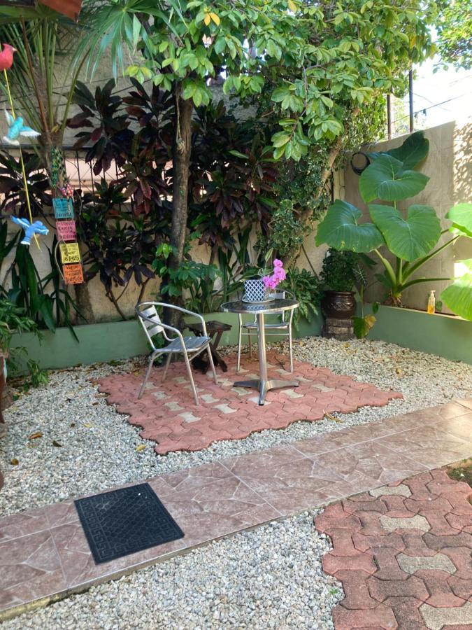 Apartamento Violeta's House *