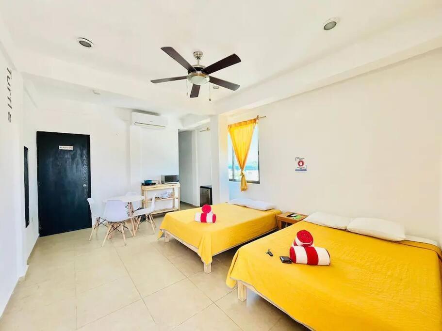 Turtle Suite, 5 Min Walking To The Turtle Piso3 Apartamento Cancún