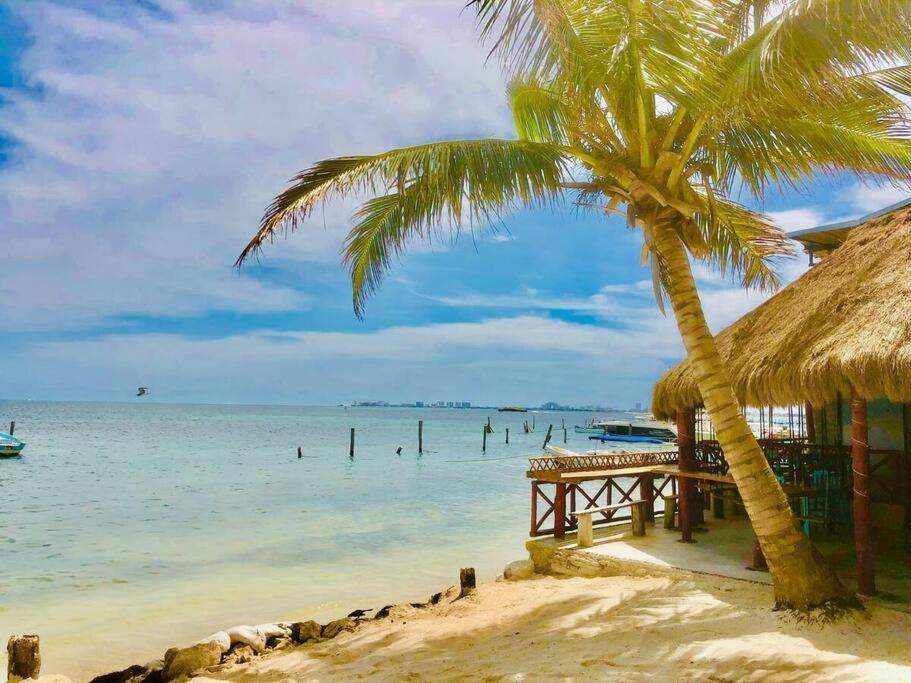 Apartamento Turtle Suite, 5 Min Walking To The Turtle Piso3 *
