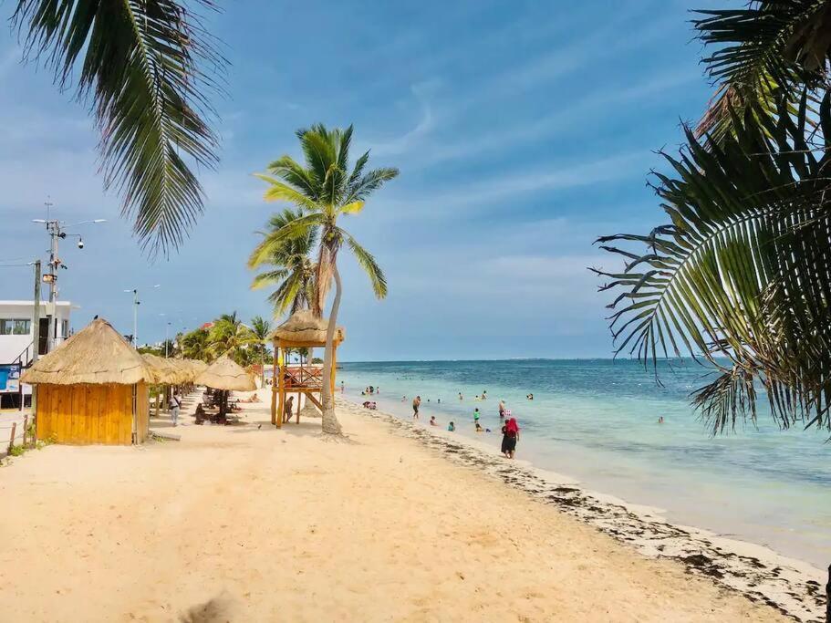Apartamento Turtle Suite, 5 Min Walking To The Turtle Piso3