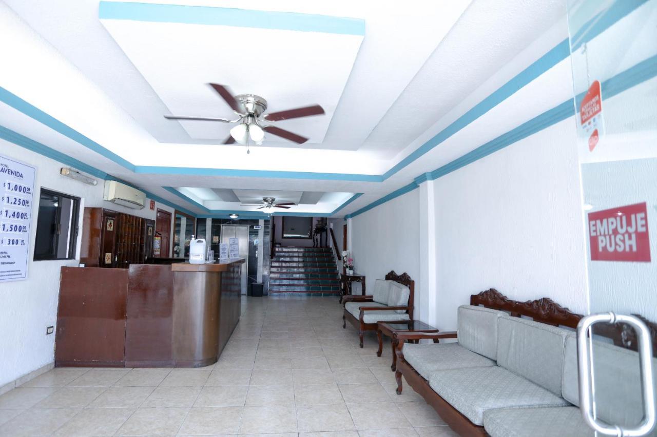 Avenida Hotel 3*