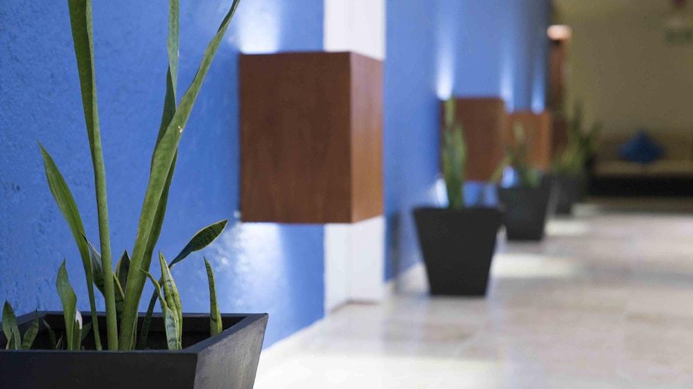 Hotel Club Regina 3*
