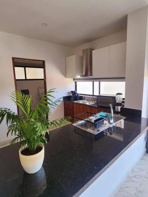 Gema 302 Apartment