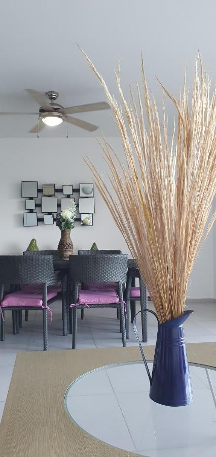 Apartment Amara