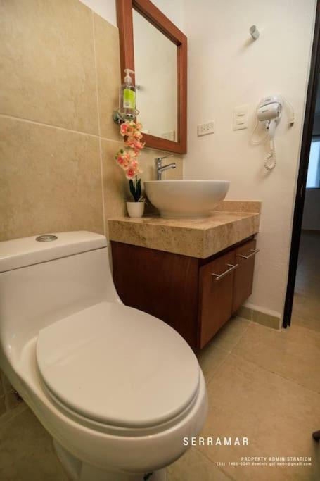 Apartment Departamento Centrico Con Alberca