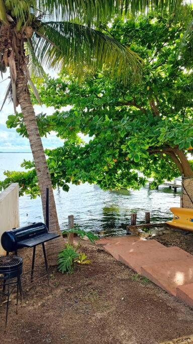 Laguna Cancun, Kayaks Gratis. Apartamento