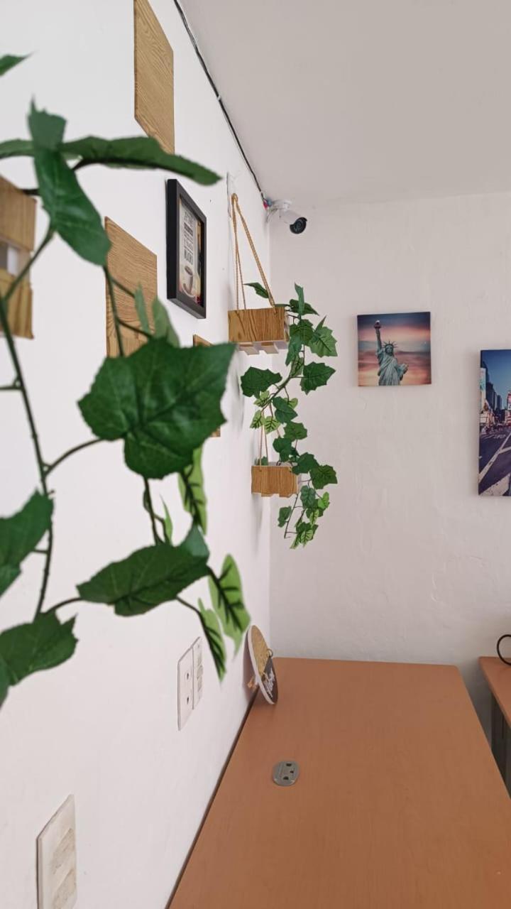 Casa De Renta Erizo 8, Cancún. Mercado 28 Habitación en casa particular *